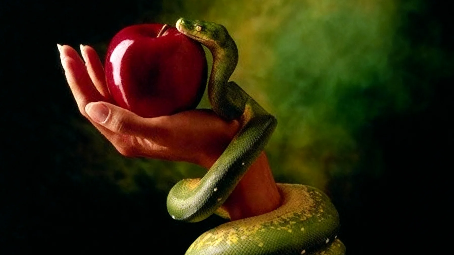 Forbidden Fruit2025-12-15T11:25:31.619Z"