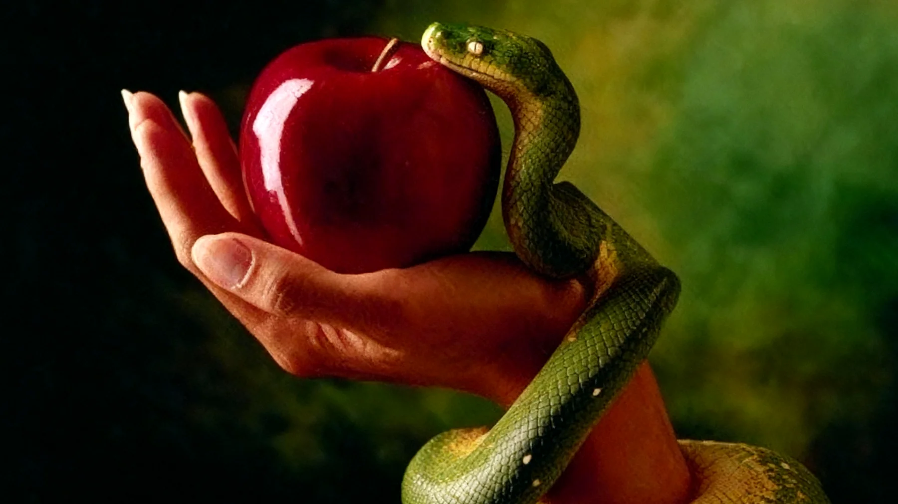 Forbidden Fruit2025-12-28T16:50:20.233Z"