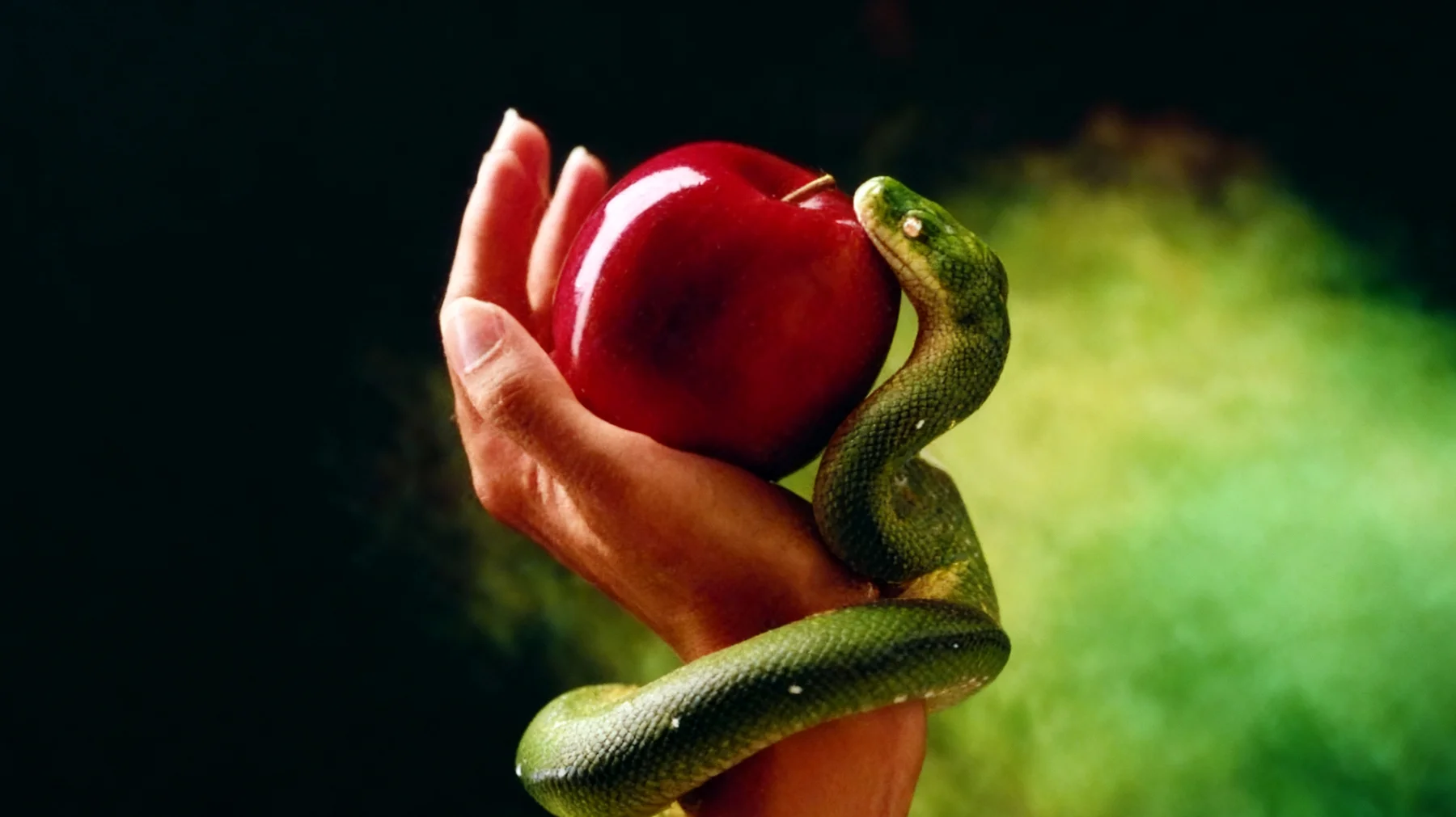 Forbidden Fruit2025-12-29T16:58:33.485Z"