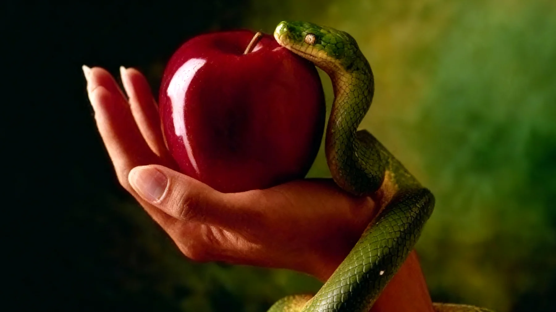 Forbidden Fruit2025-12-30T16:51:05.065Z"