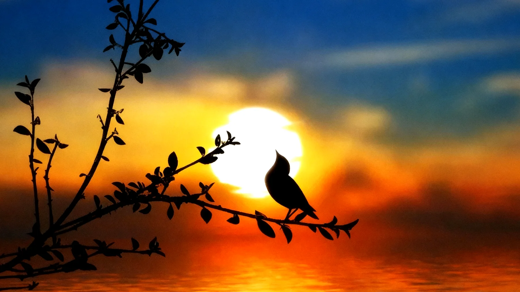 Beautiful 2026-01-16T16:35:20.378Z"