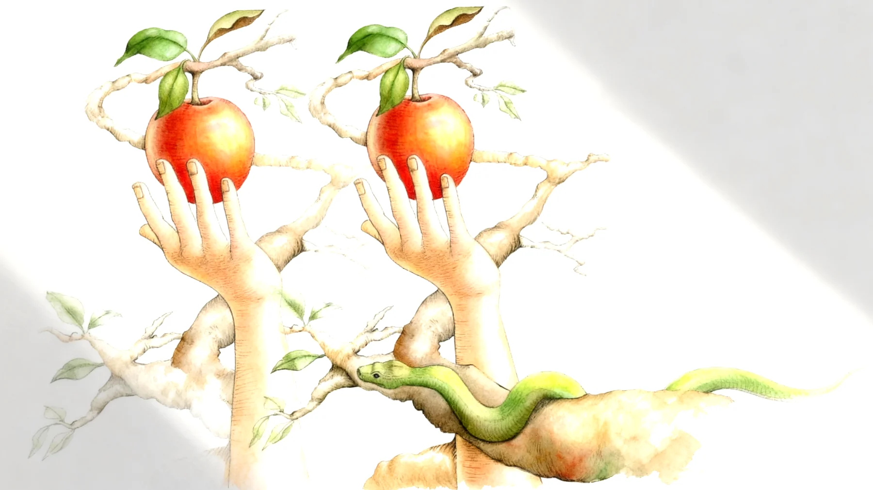 Forbidden Fruit2026-01-01T16:55:50.154Z"