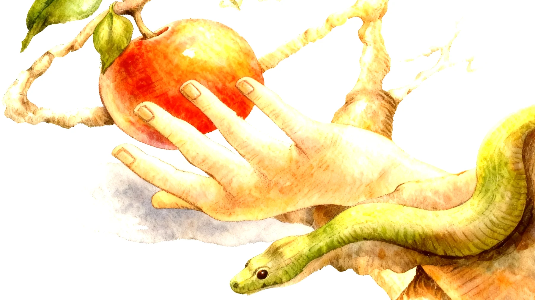 Forbidden Fruit2026-01-04T16:54:58.870Z"