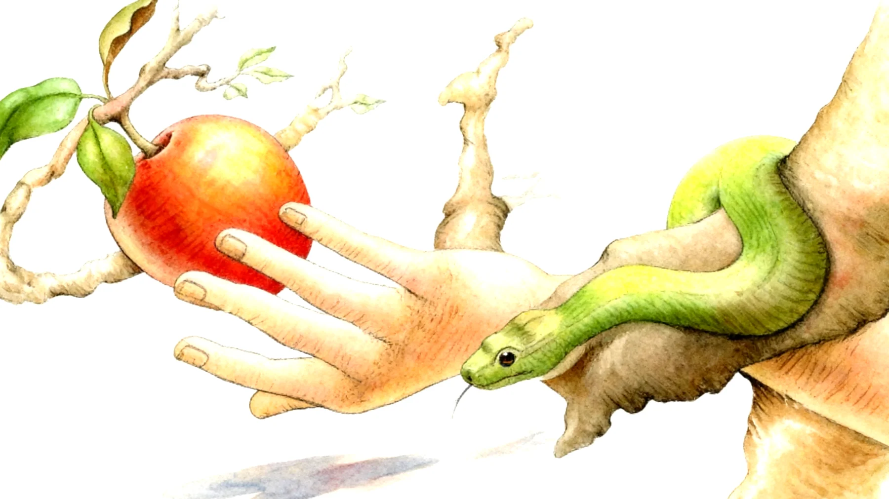 Forbidden Fruit2026-01-12T16:55:01.988Z"