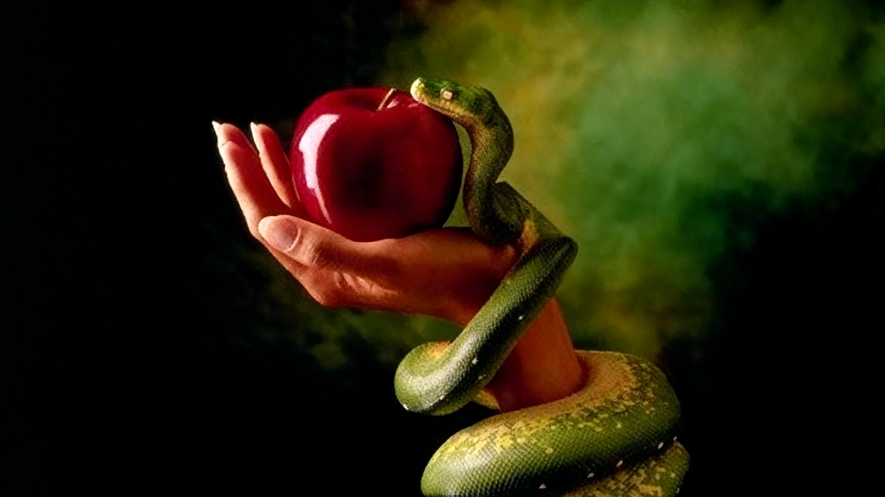 Forbidden Fruit2026-01-14T17:00:42.225Z"