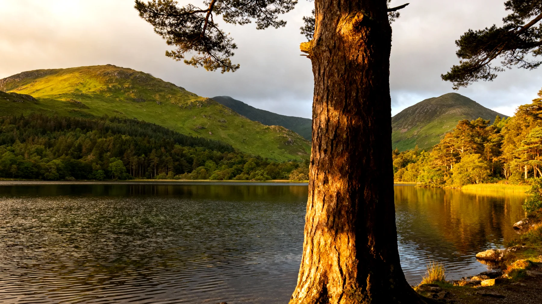 Killarney National Park"